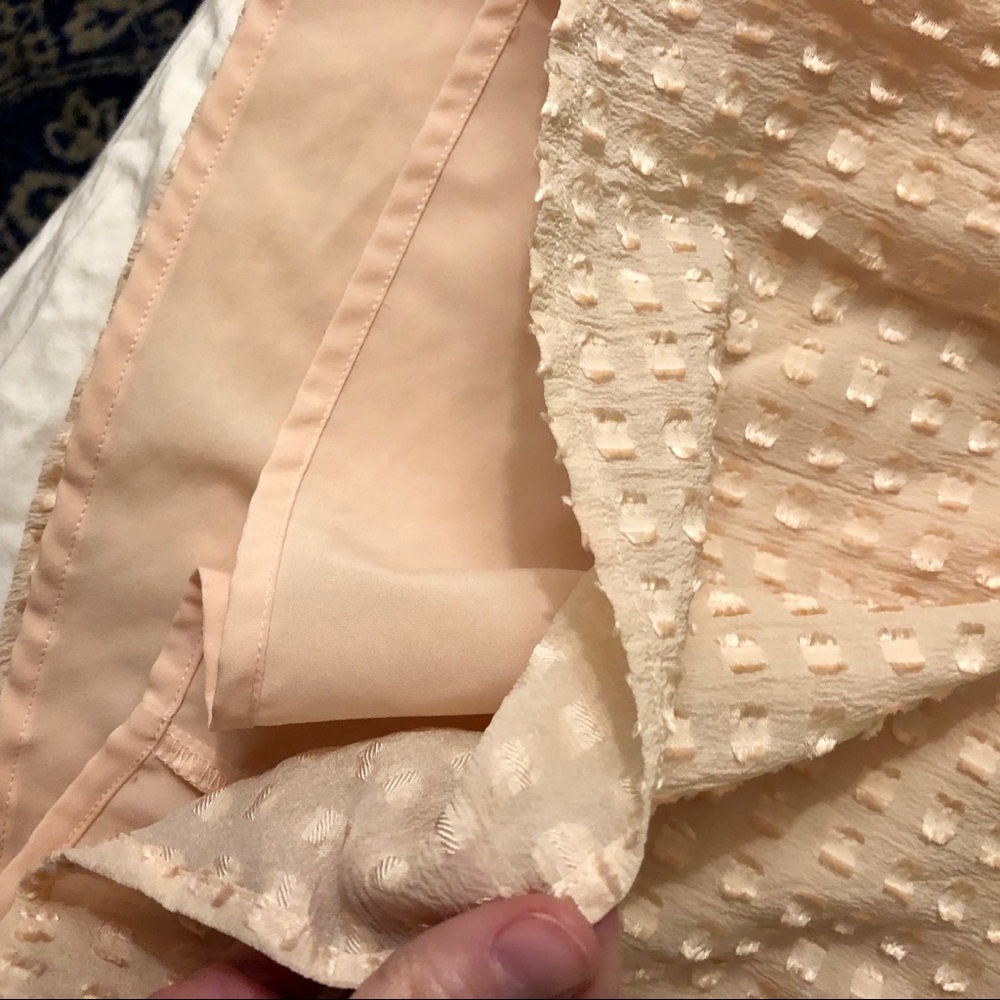 Blush Madewell Clipdot Dress - Picture 6 of 7
